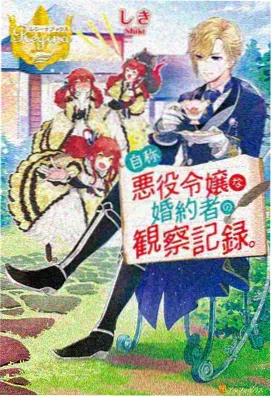 第 4 集《翻面》唱片封套示意